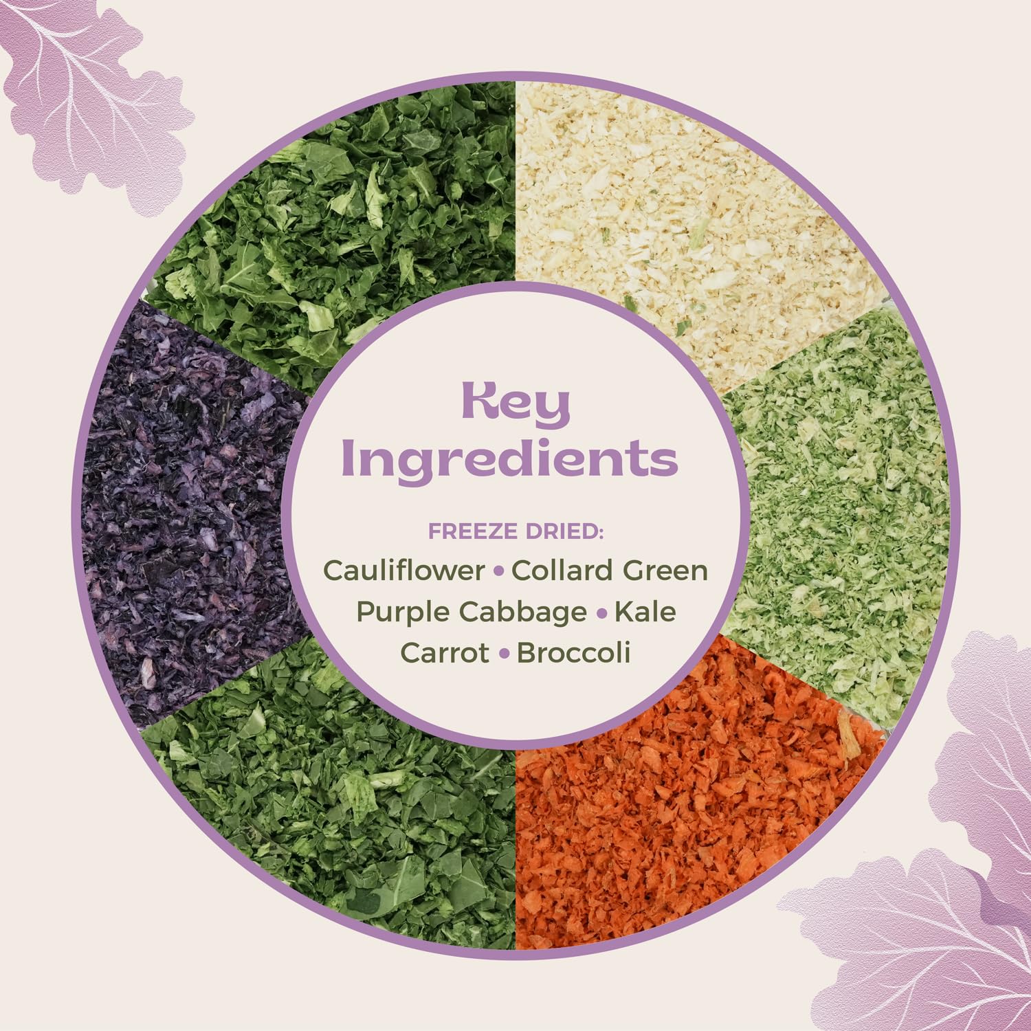 KikiBirds comparaison taille du sachet 2 lb pour évaluer quantité fournie