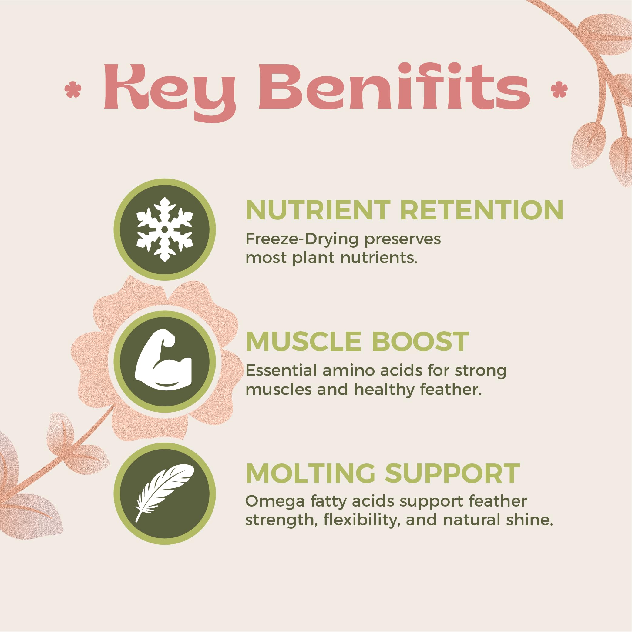 KikiBirds germes lyophilisés détaillés pour vitamines préservées