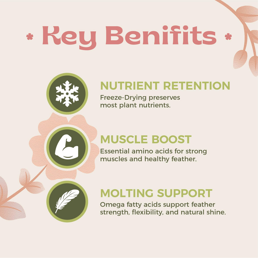 KikiBirds germes lyophilisés détaillés pour vitamines préservées