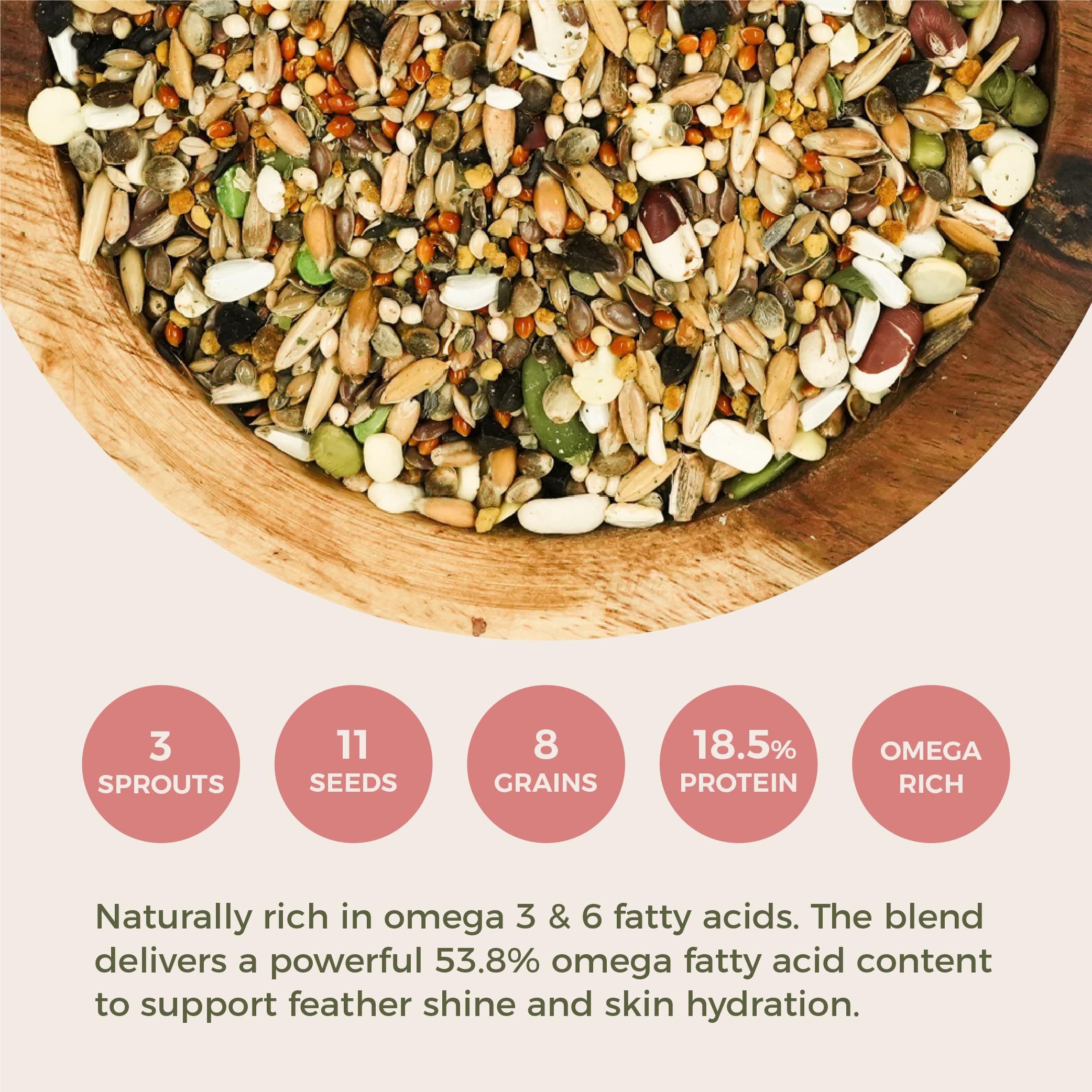 KikiBirds pollen d'abeille en gros plan, source naturelle de nutriments