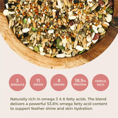 KikiBirds pollen d'abeille en gros plan, source naturelle de nutriments