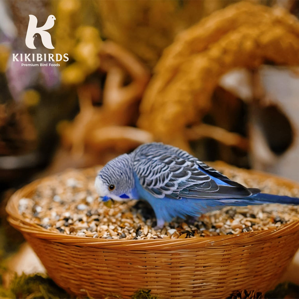 KikiBirds sachet refermable ouvert montrant conservation et facilité d'utilisation