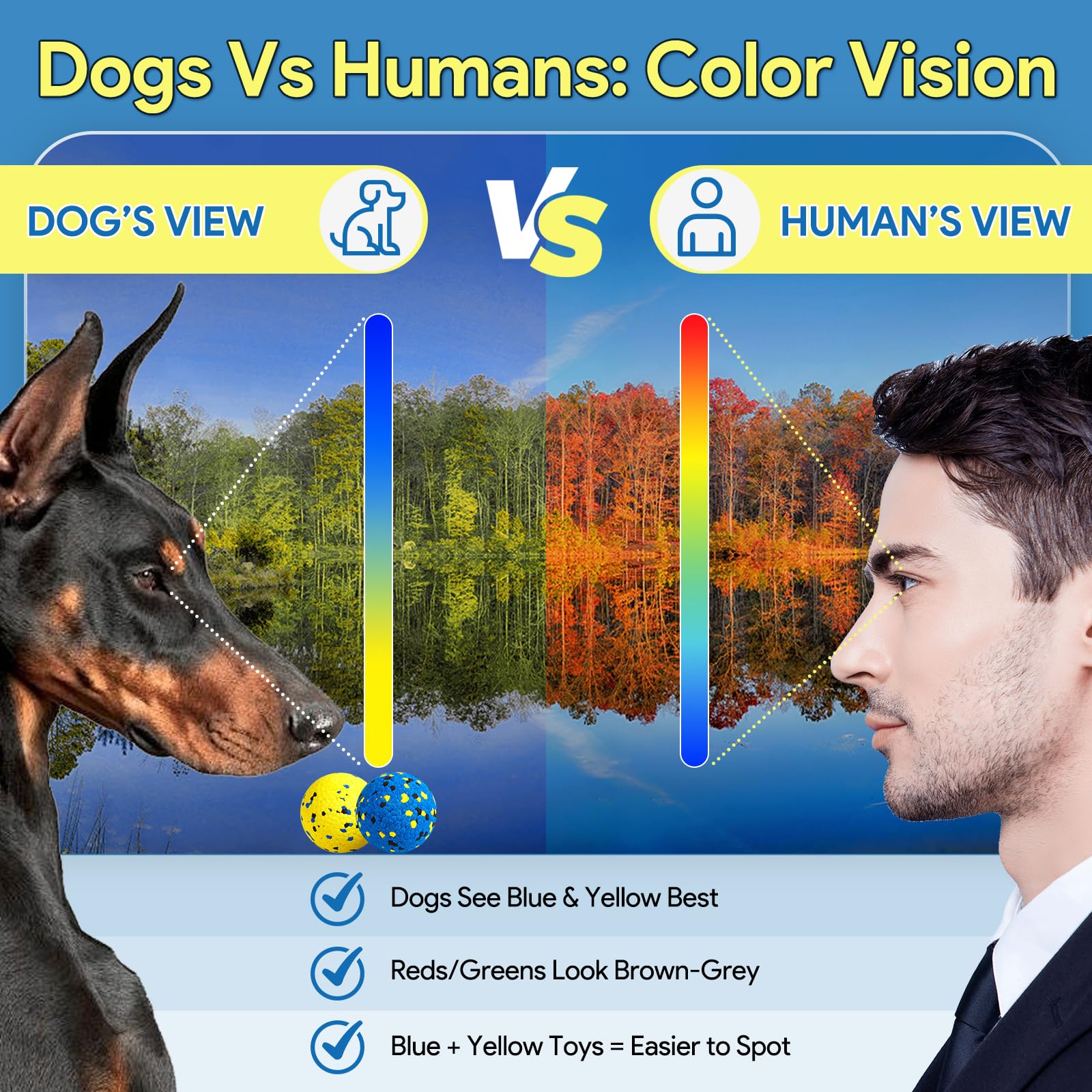 Kimee lot de 4 bleu et jaune illustrant les couleurs visibles pour chiens