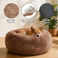 Kimpets lit en usage avec chiot blotti pour relaxation