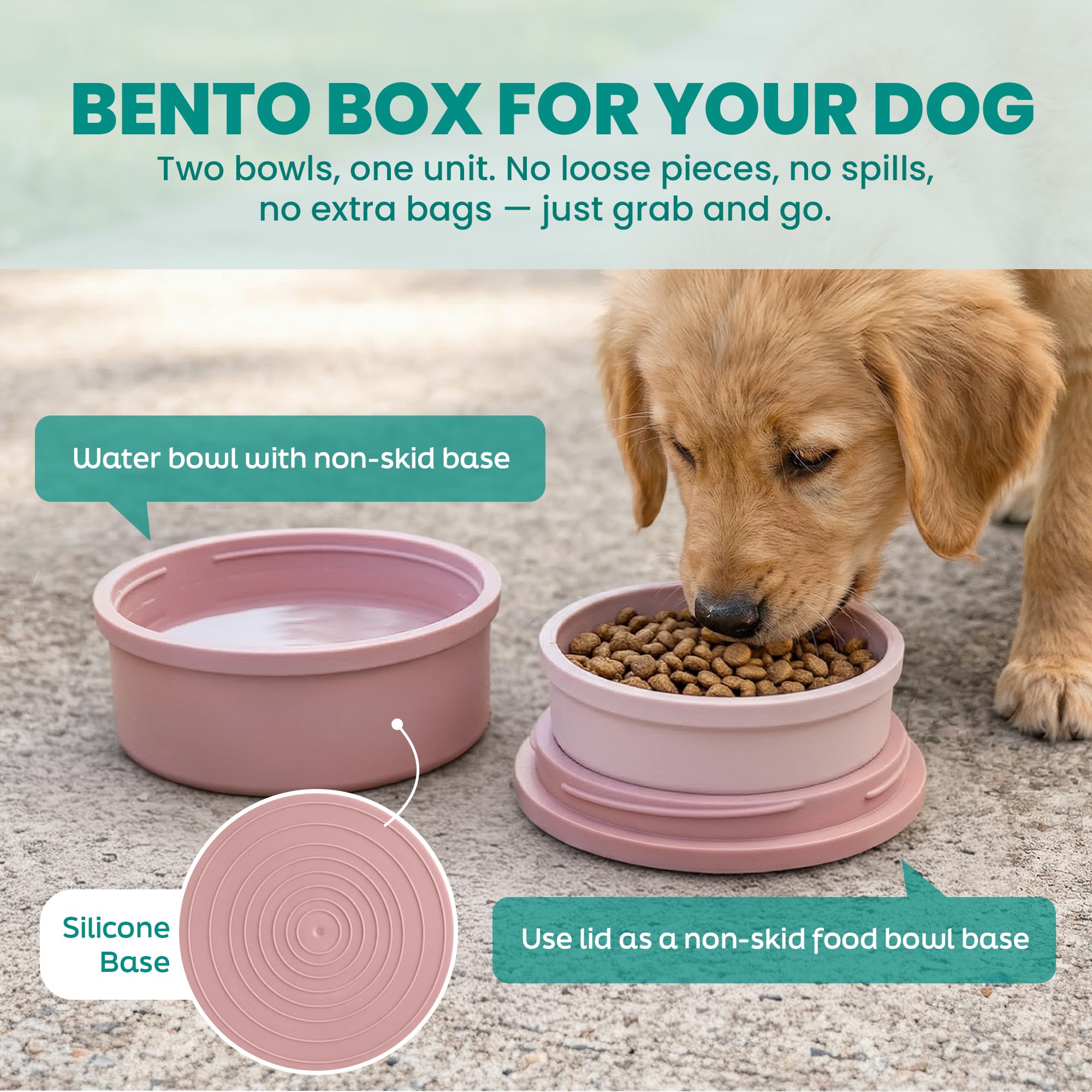 KindTail bol intérieur contenant croquettes portion adaptée petit chien