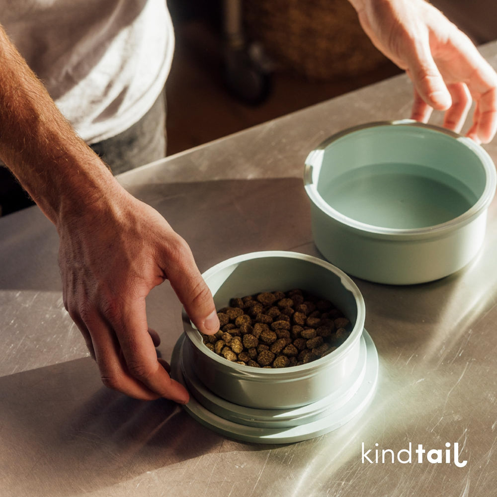 KindTail comparaison de taille avec main montrant compacité et légèreté