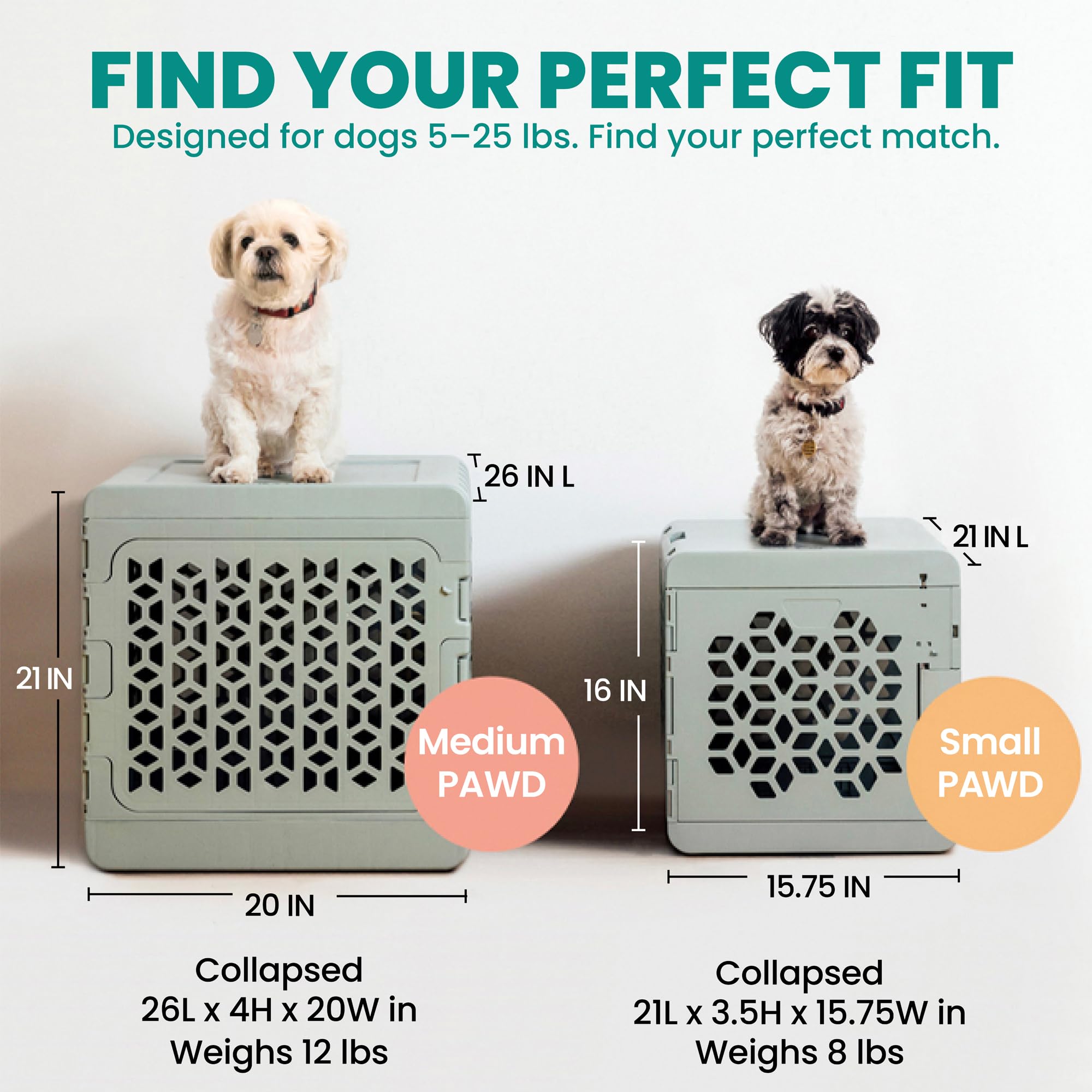 KindTail PAWD petit chien dedans pendant voyage pour confort familier