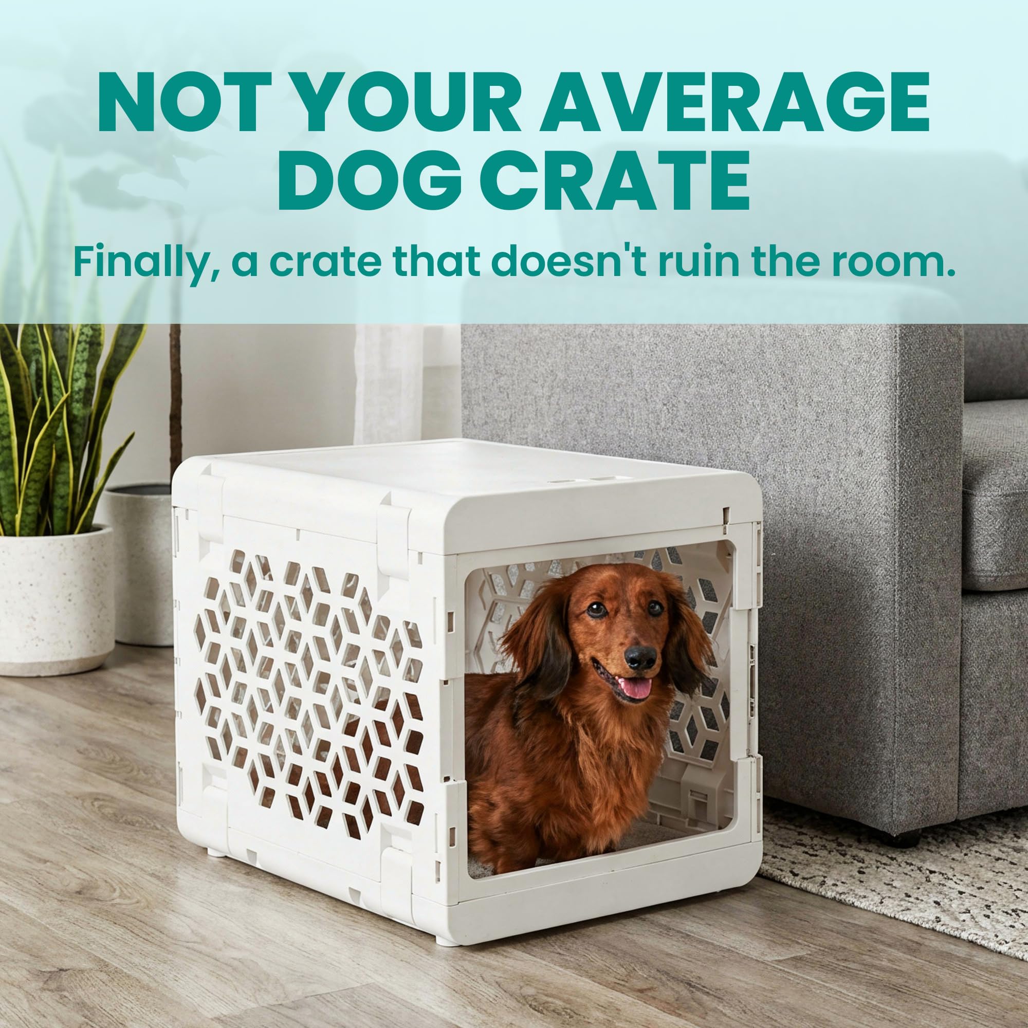KindTail PAWD comparaison taille avec objet pour évaluer dimensions