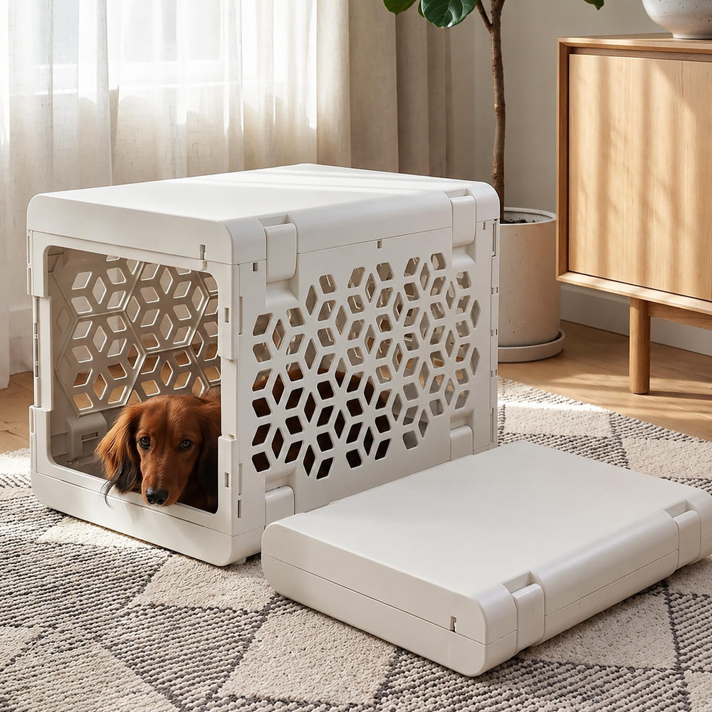 KindTail PAWD face avant montrant design moderne et intégration décorative