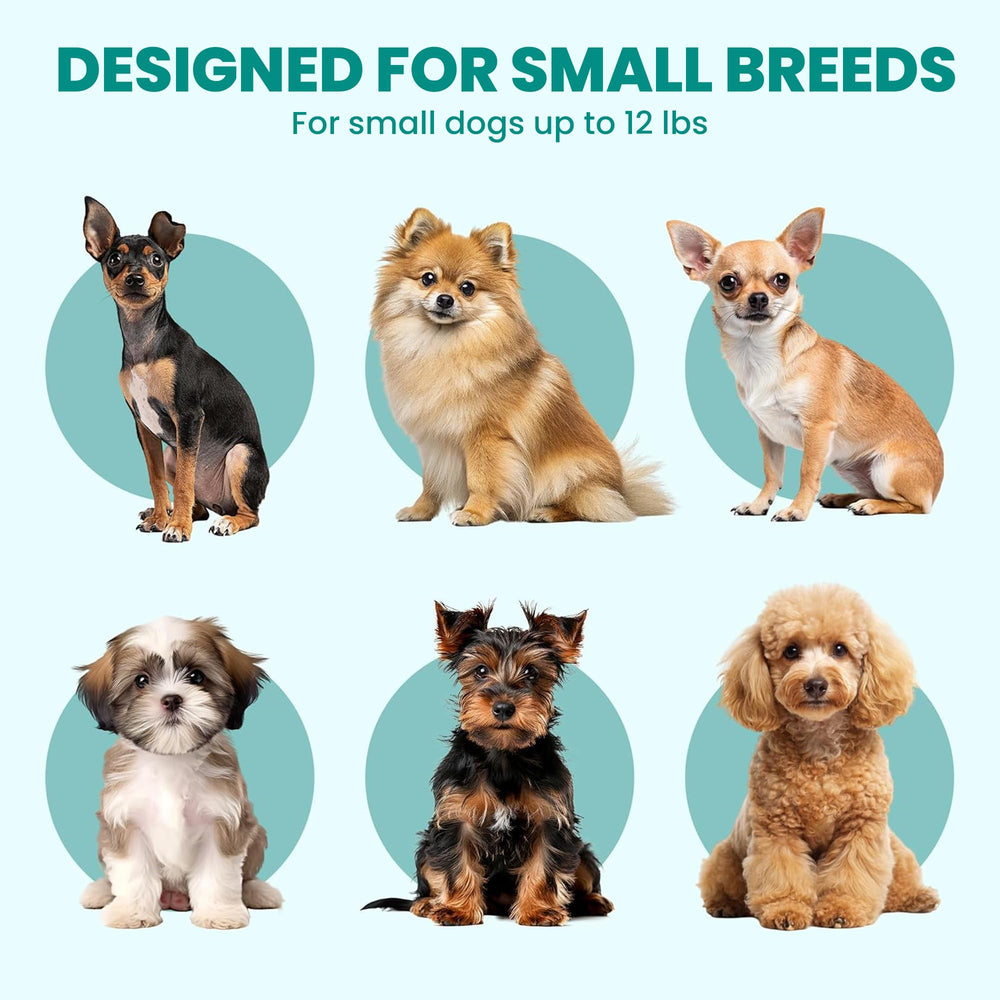 KindTail PAWD intérieur avec coussin pour confort apaisant du chien