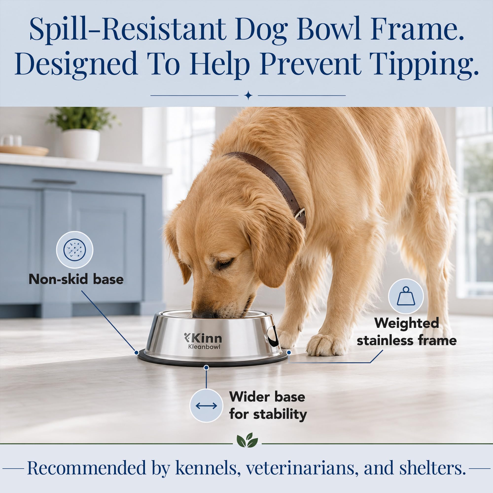 Kinn bol en usage avec chien buvant facilement pendant promenade