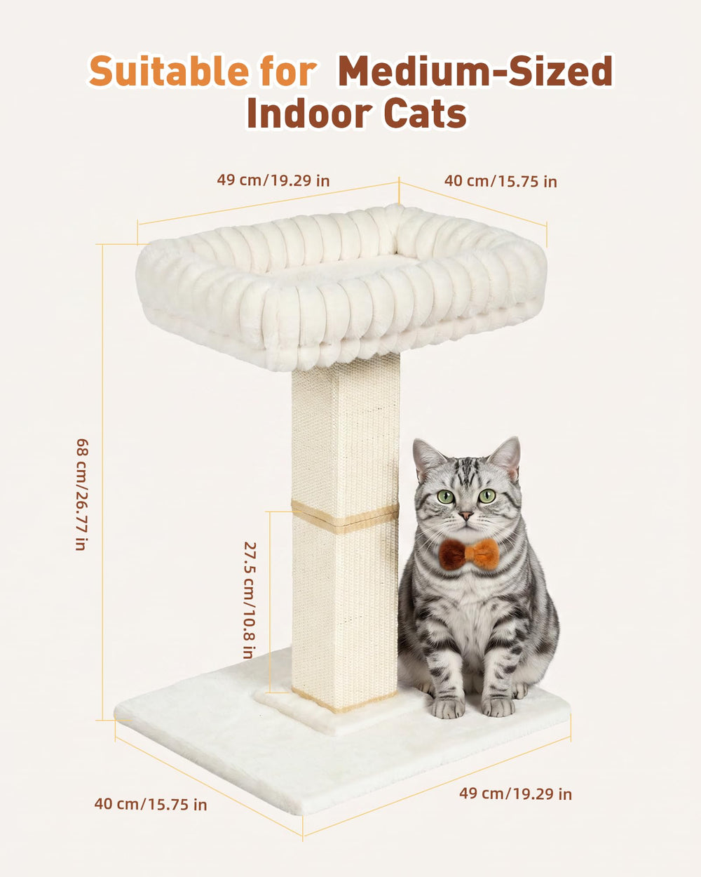 KinoTail chat utilisant le perchoir supérieur, confort et observation