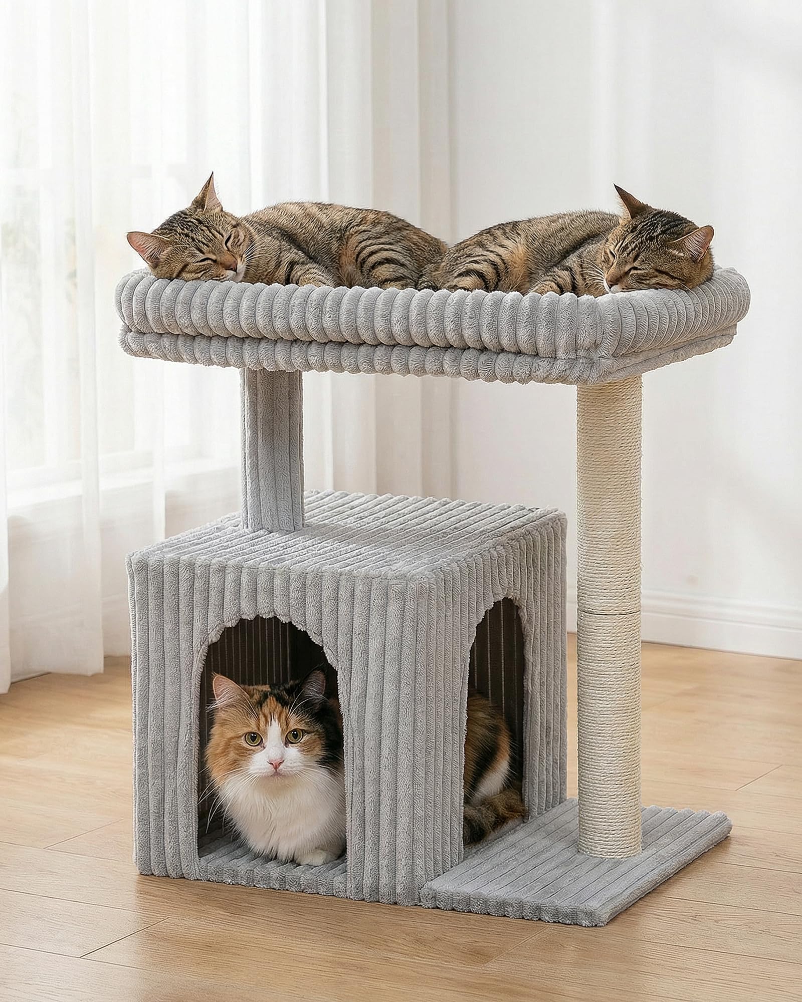 KinoTail grand chat utilisant le perchoir pour observer et se reposer