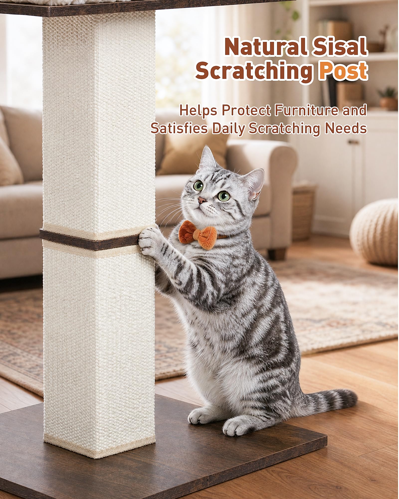 KinoTail comparaison taille avec chat montrant proportions adaptées