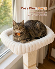 KinoTail gros plan sur sisal naturel, durable pour protéger meubles