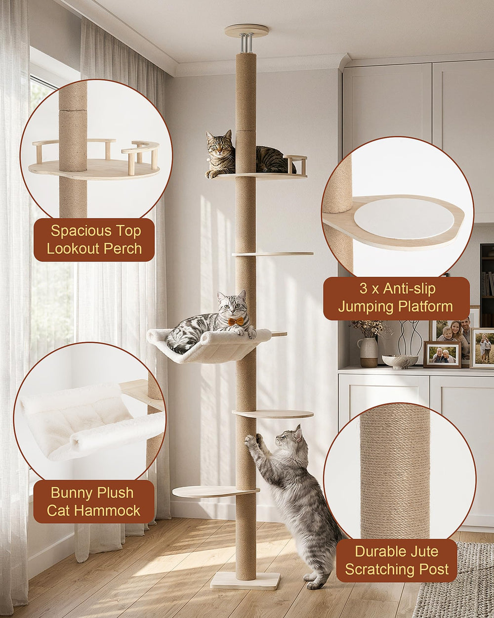 KinoTail hamac en peluche offrant confort et sieste pour grands chats