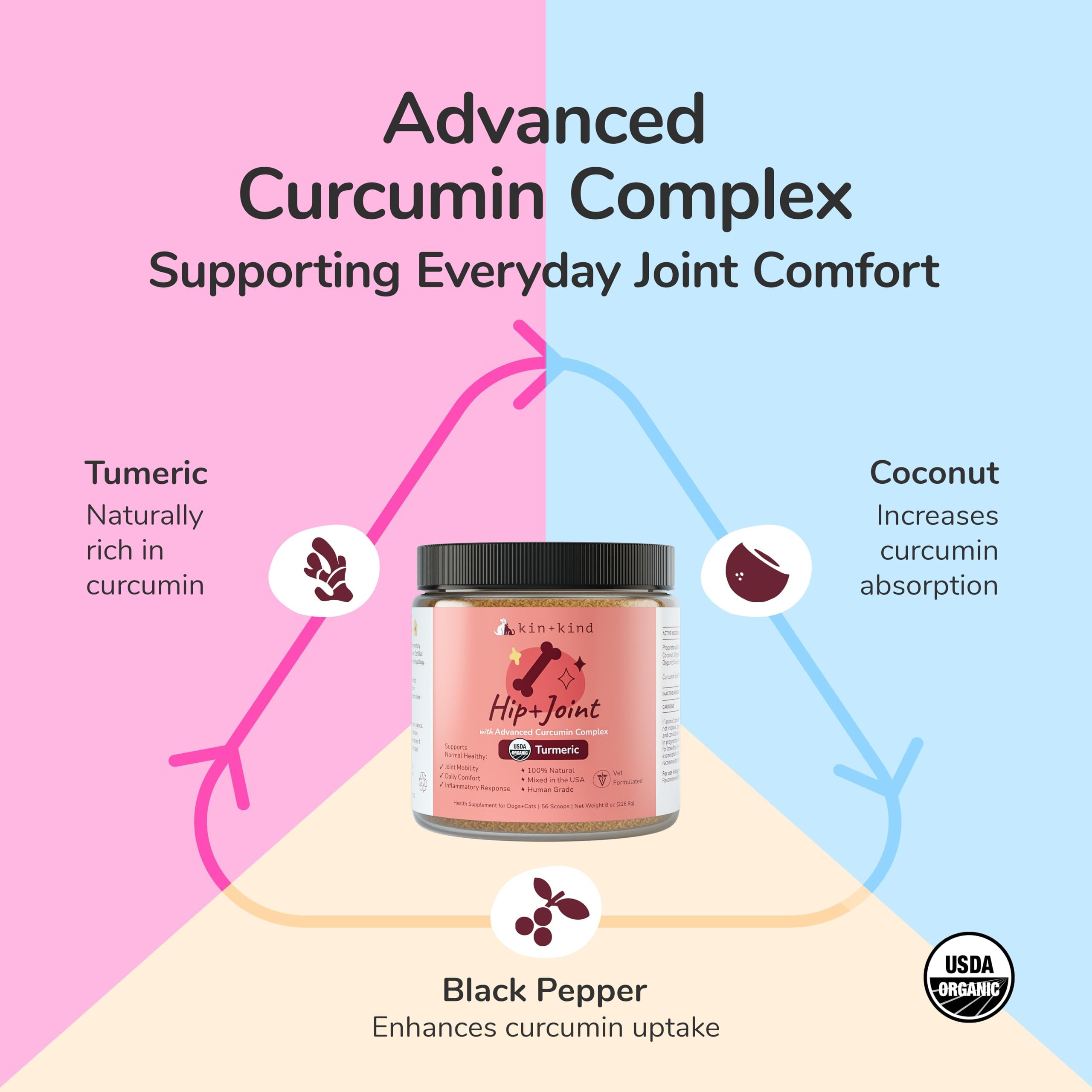 kin+kind poudre de curcuma montrée proche pour absorption améliorée