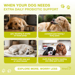 Kinpur Pet Care gros plan texture des masticables montrant tendreté et appétence