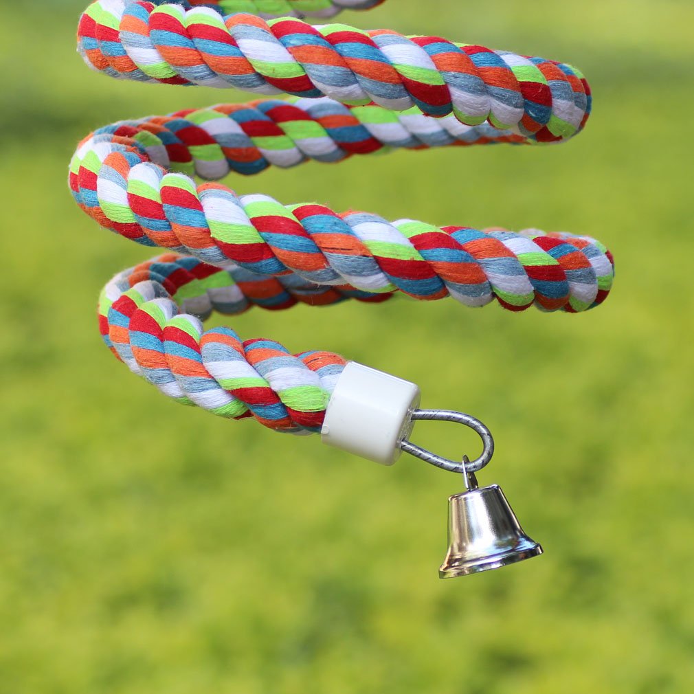 KINTOR perroquet utilise balançoire favorisant exercice et équilibre