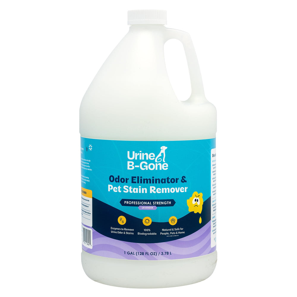 Kinzua Urine B-Gone gallon face avant montrant l'emballage et efficacité rapide