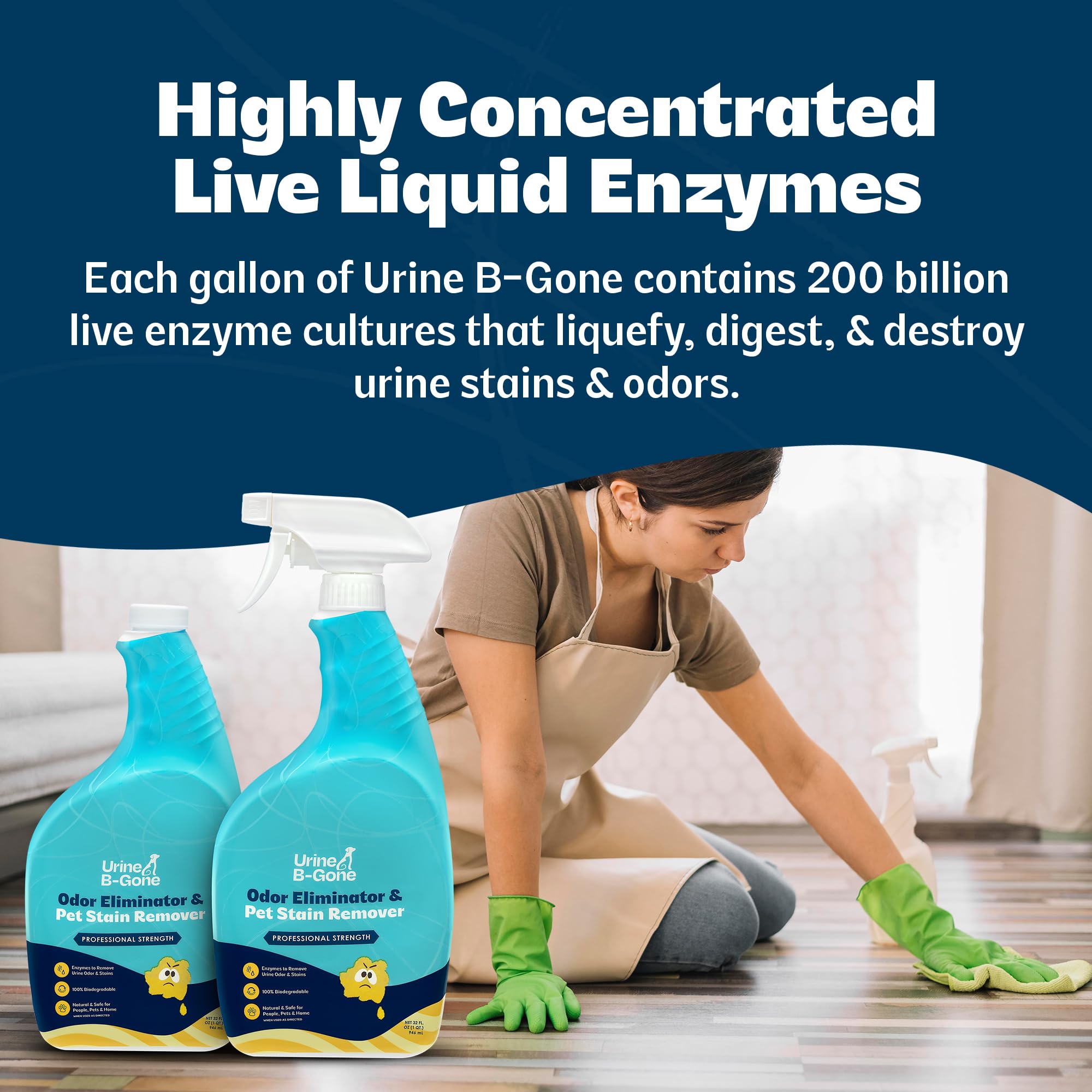 Kinzua Urine B-Gone utilisé sur canapé pour neutraliser odeurs d'animaux