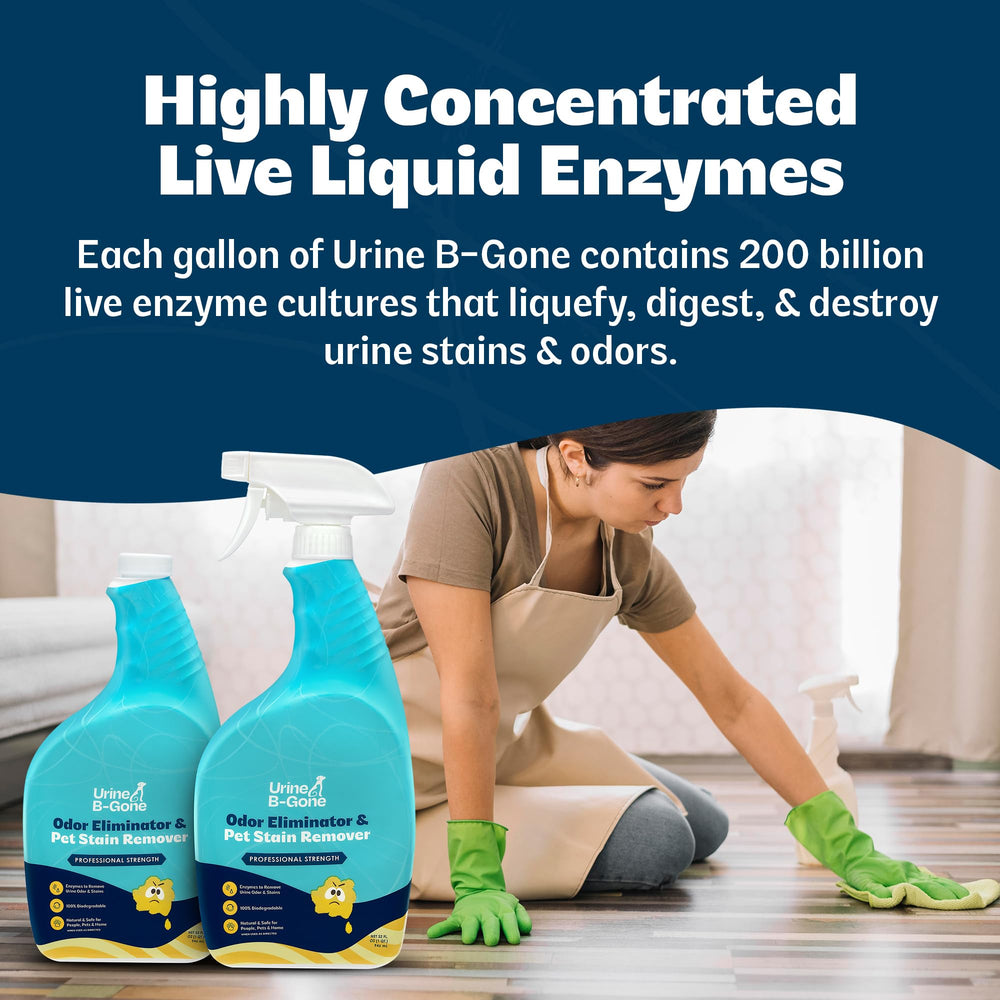 Kinzua Urine B-Gone utilisé sur canapé pour neutraliser odeurs d'animaux