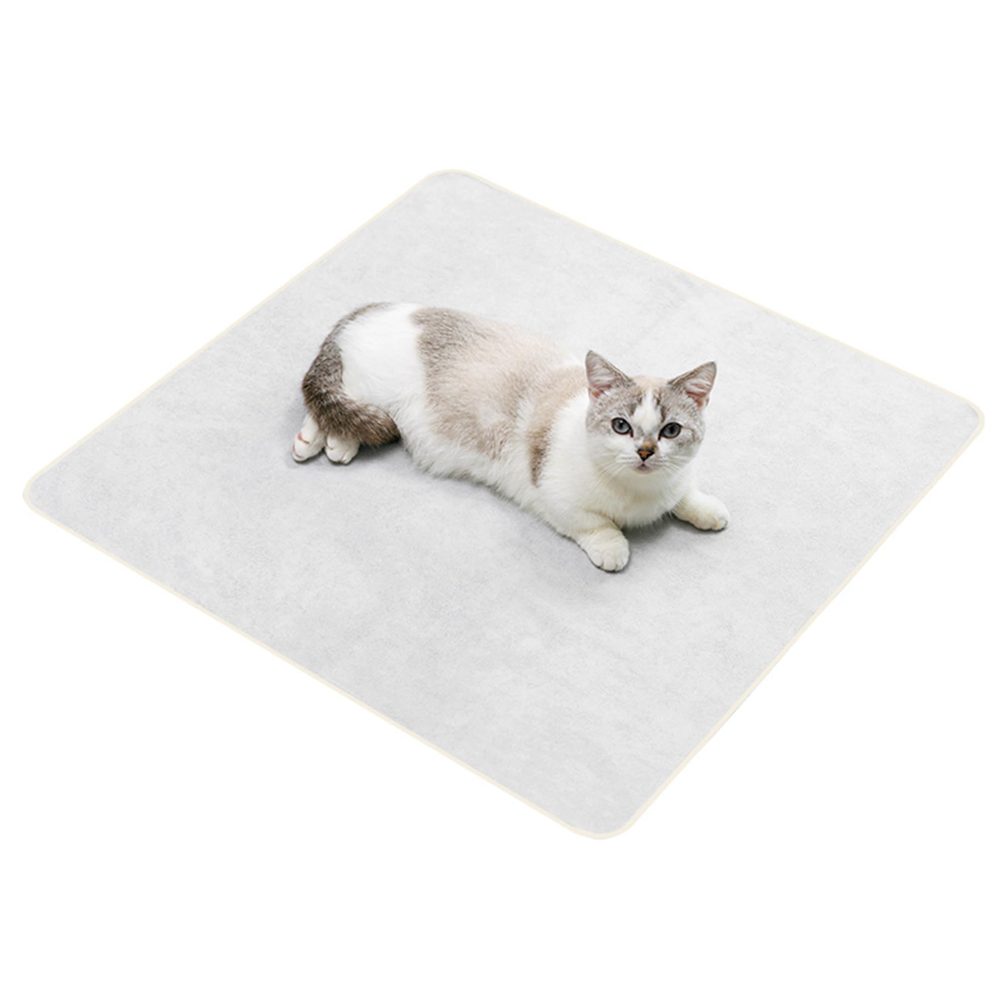 Kiorafoto protection d'objets fragiles en voyage avec couverture