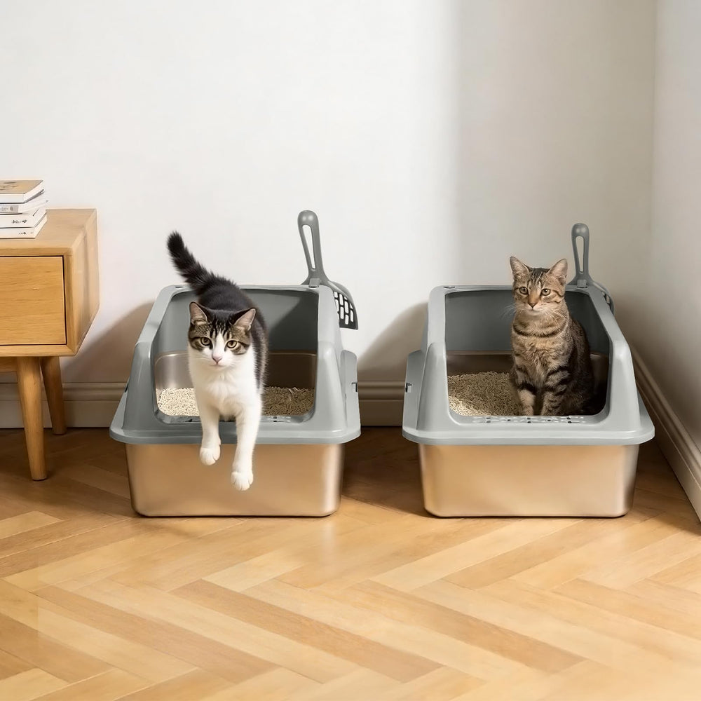 Kirecoo comparaison taille avec règle, dimensions adaptées grands chats