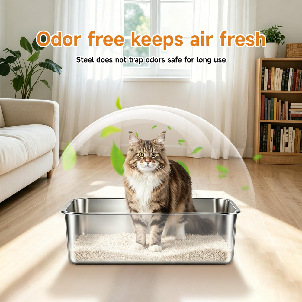 KISENG bac en usage avec un chaton pour facilité de nettoyage