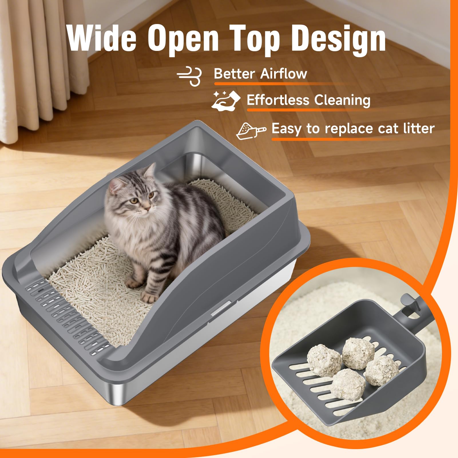 KISENG comparaison avec chat montrant l’espace généreux disponible