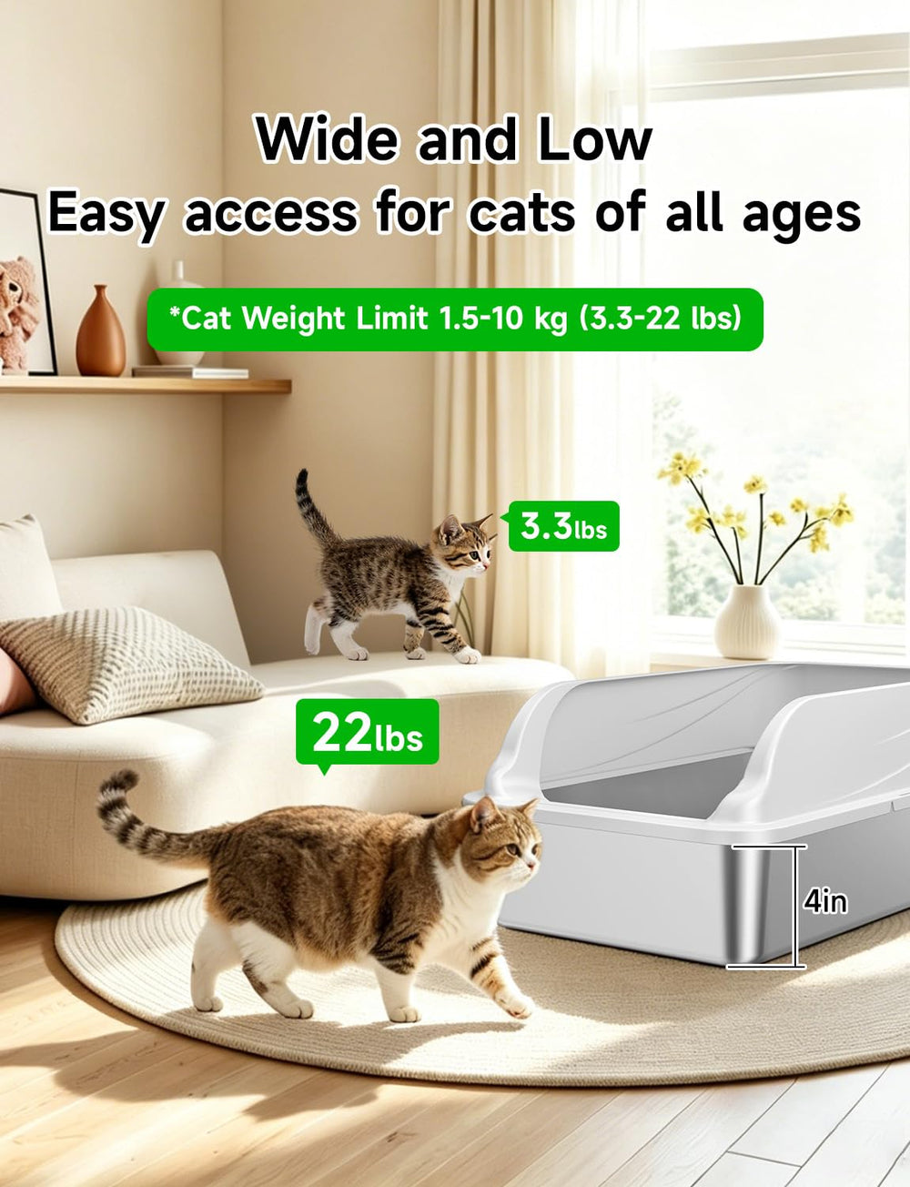 KISENG comparaison dimensions montre espace suffisant pour chat