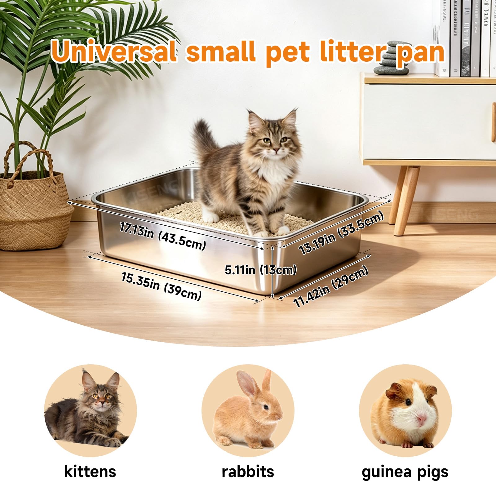 KISENG gros plan de la finition polie montrant surface antiadhésive