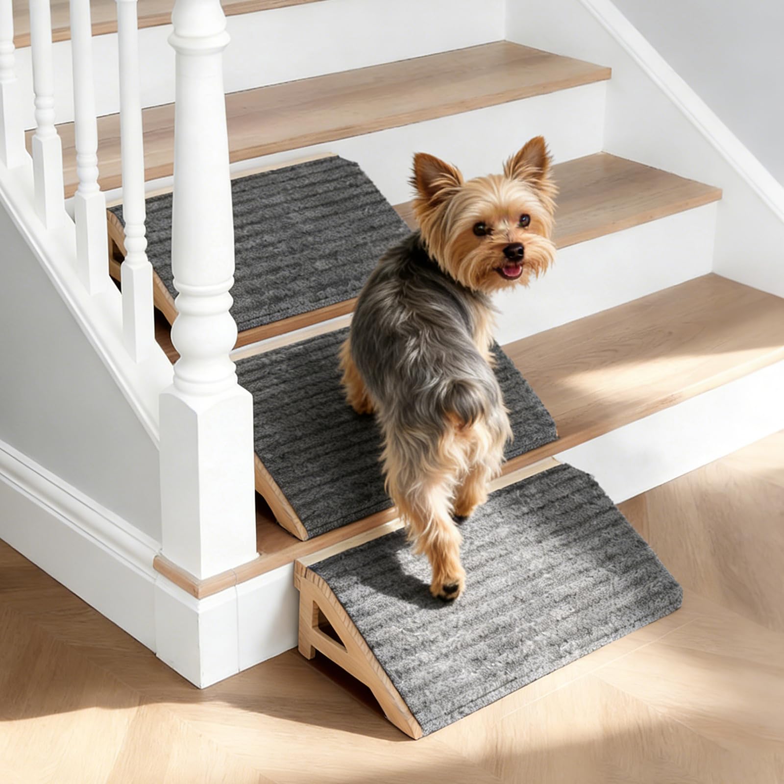 KISIMUY chien utilisant la rampe pour monter sur un canapé sans effort