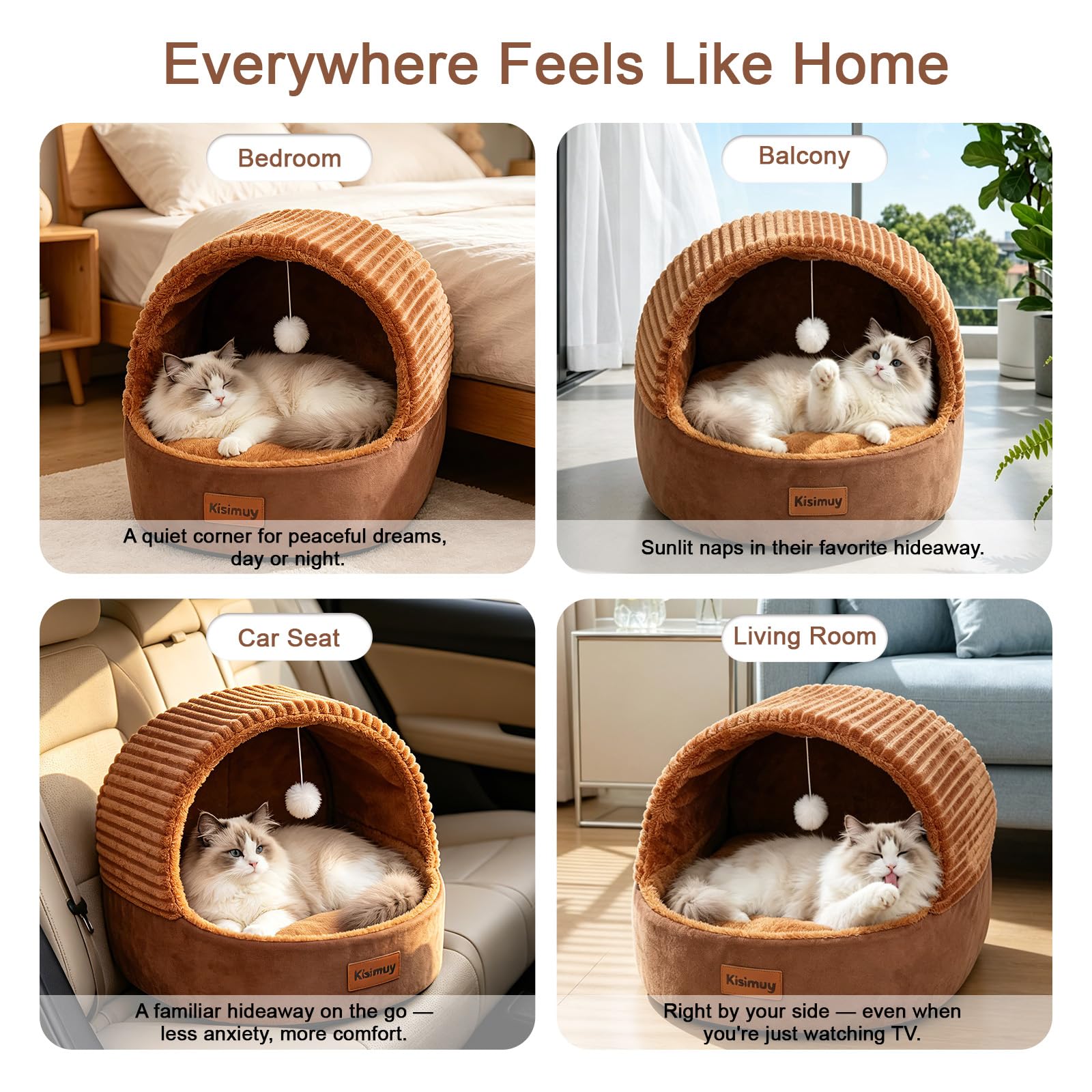 KISIMUY comparaison d'échelle montrant taille adaptée aux chats