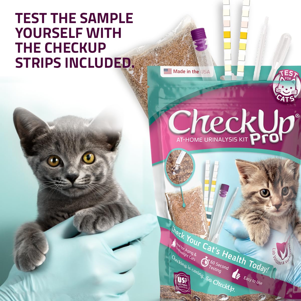 KIT4CAT bandelette réactive montrant zones colorées pour lecture rapide