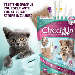 KIT4CAT bandelette réactive montrant zones colorées pour lecture rapide