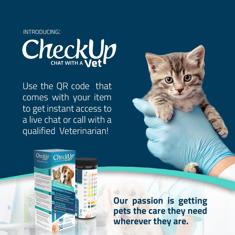 KIT4CAT flacon à côté d’un objet pour échelle, portable et compact
