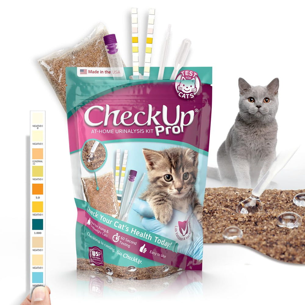 KIT4CAT vue avant du packaging montrant contenu et utilisation pratique