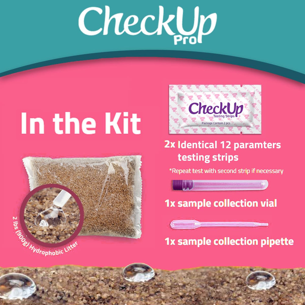 KIT4CAT démonstration de prélèvement d'urine propre et non invasif