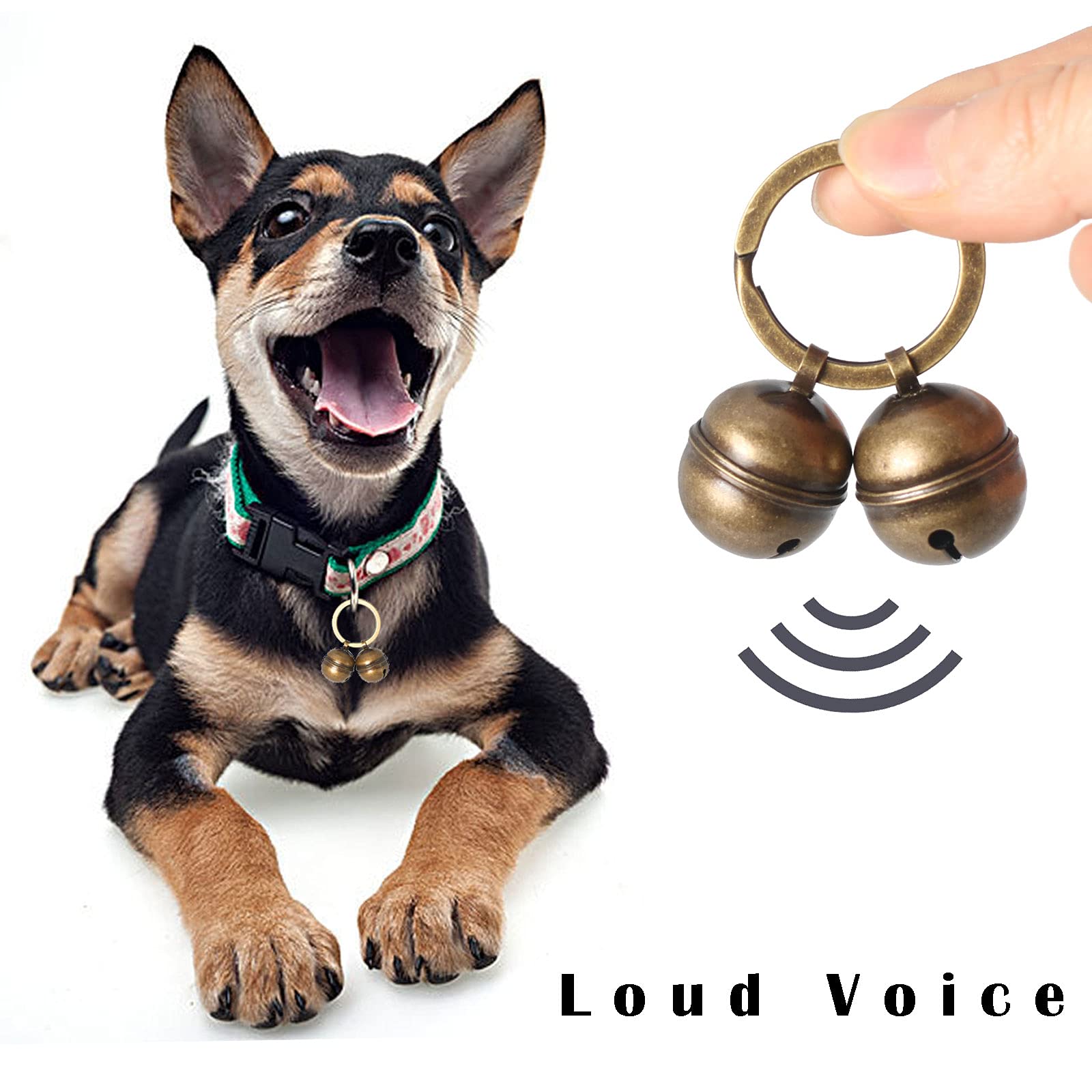 KITTAIL cloche fixée collier de chien adaptée toutes tailles