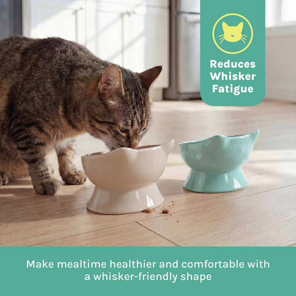 Kitty City bol en usage avec chat mangeant confortablement