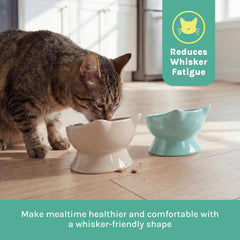 Kitty City bol en usage avec chat mangeant confortablement
