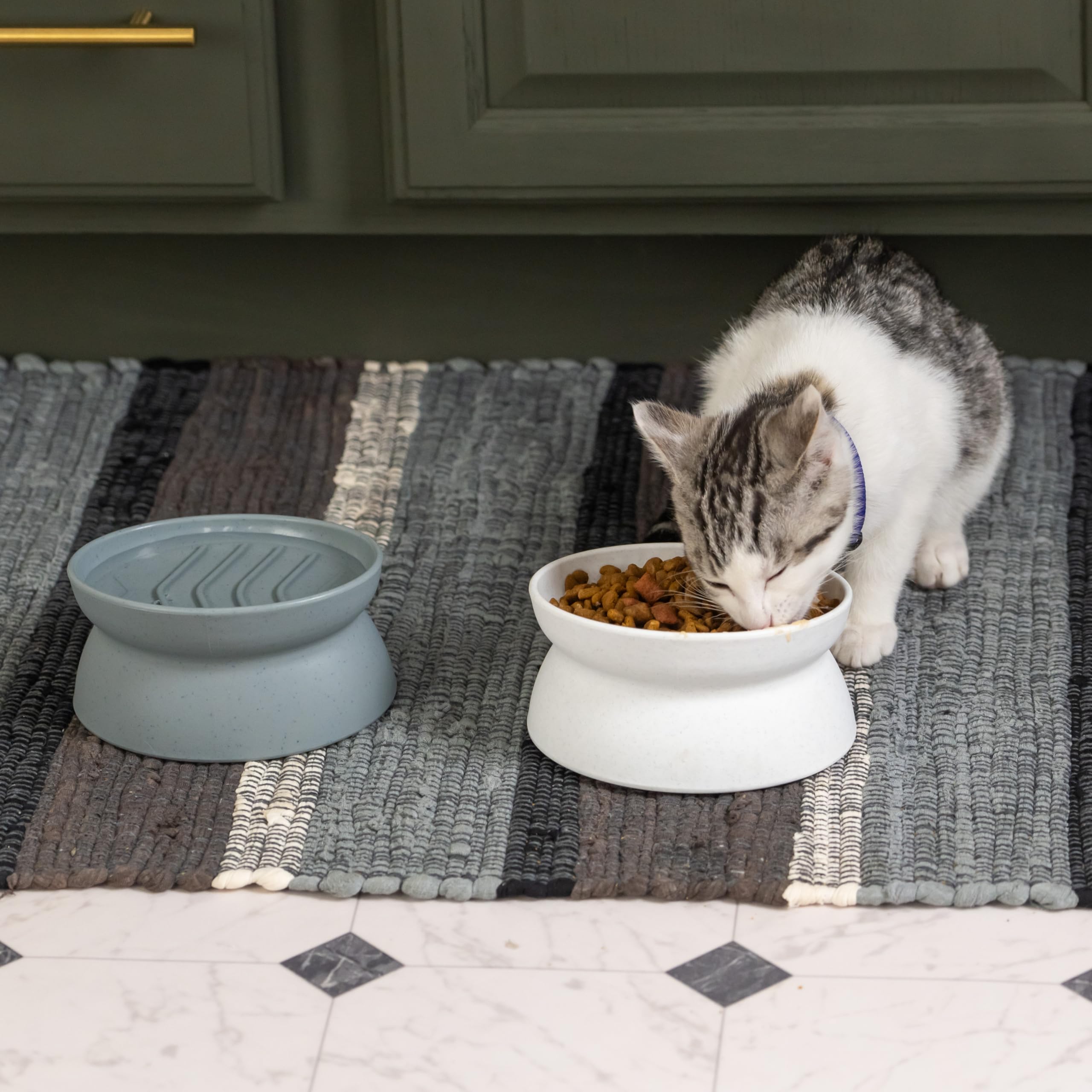 Kitty City chat mange dans bol surélevé, posture plus confortable pour le cou