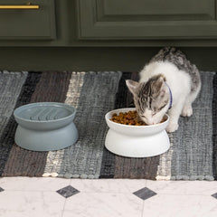 Kitty City chat mange dans bol surélevé, posture plus confortable pour le cou