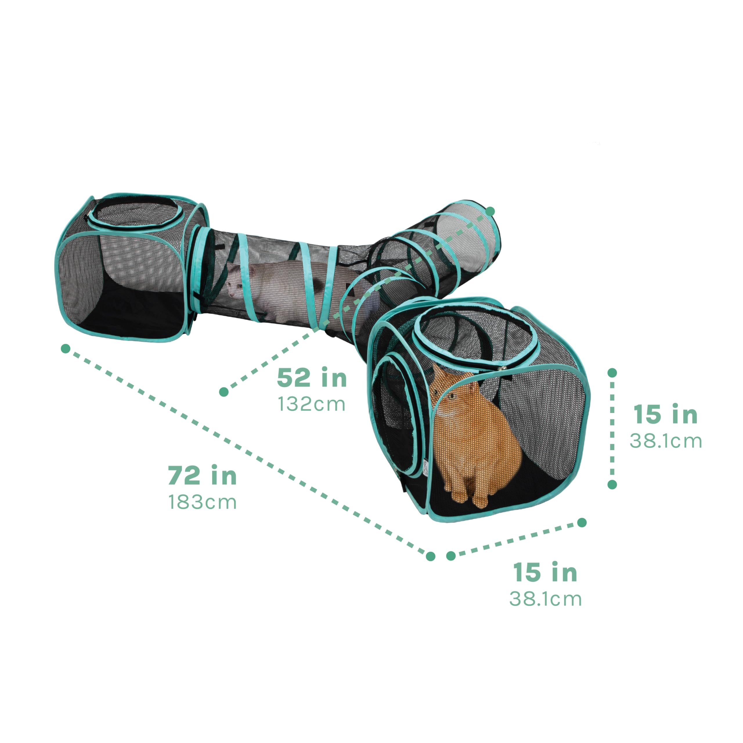 Tunnel Kitty City à l'échelle avec chat pour visualiser taille et espace