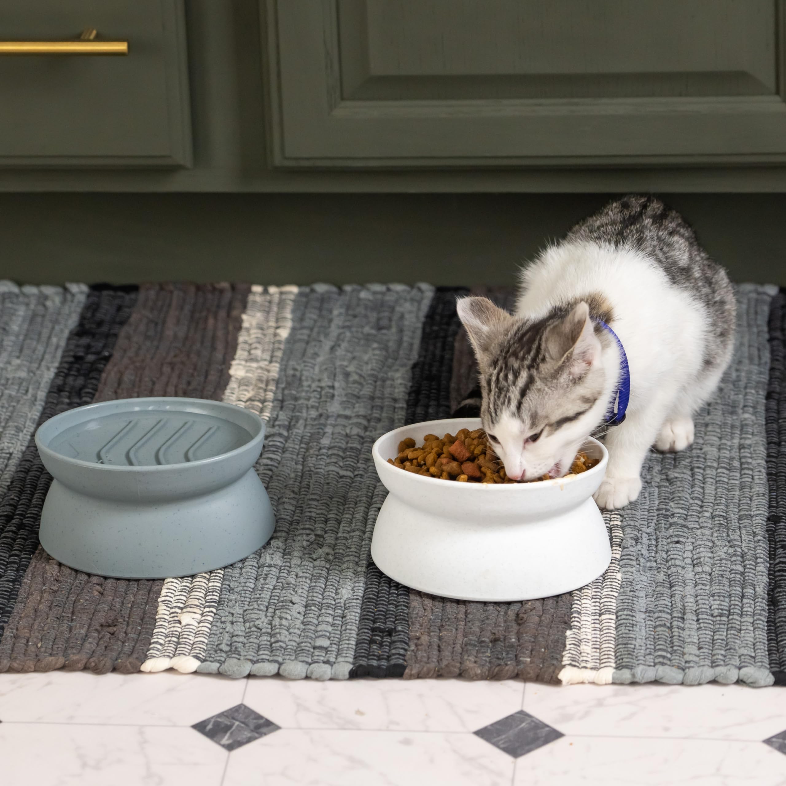 Kitty City comparaison taille montrant capacité 6,5 oz et échelle pour portions