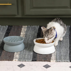Kitty City comparaison taille montrant capacité 6,5 oz et échelle pour portions