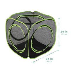 Kitty City intérieur du cube avec chat se détendant et observant