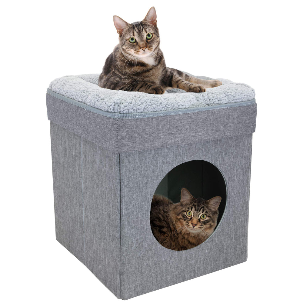 Kitty City cube placé près de fenêtre montrant intégration décorative apaisante