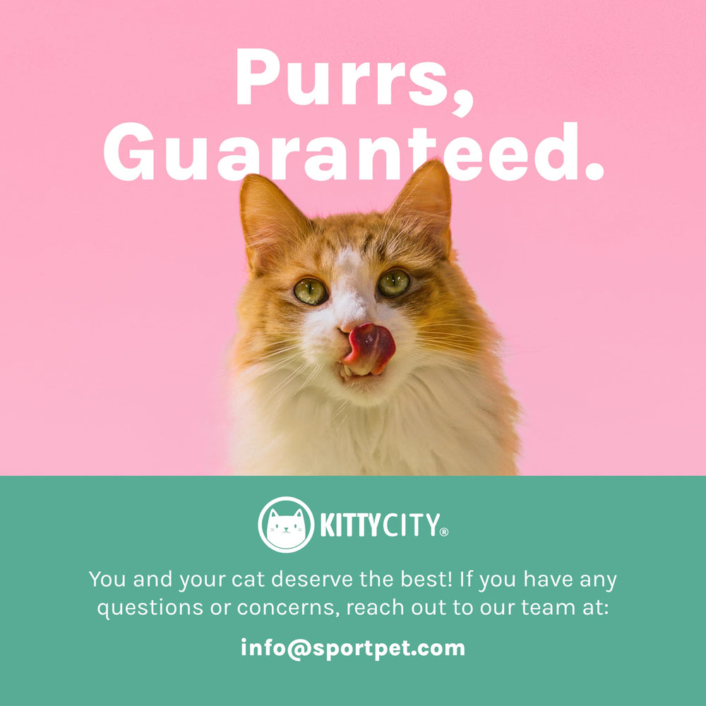 Kitty City base et bordures renforcées assurant stabilité et longévité